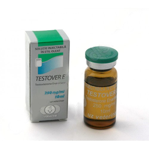 Testover E Vermodje