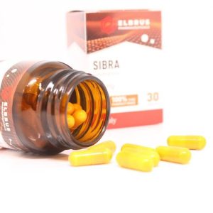 Sibra Elbrus Pharmaceuticals