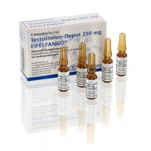 Testosteron Depot 250 mg Eifelfango