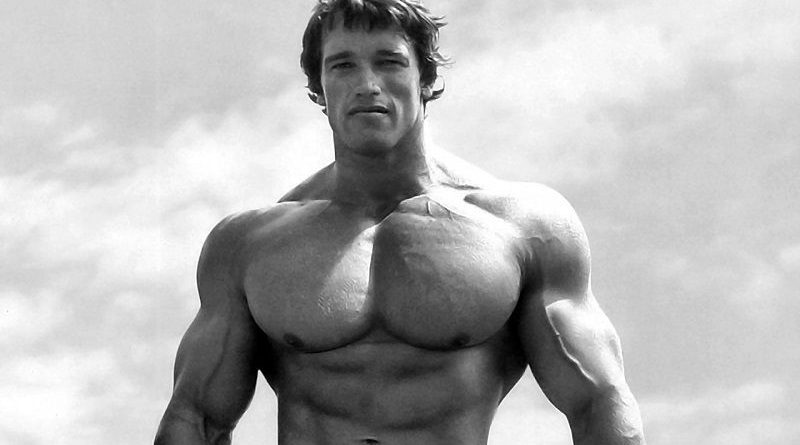 Arnold Schwarzenegger Steroid Cycles