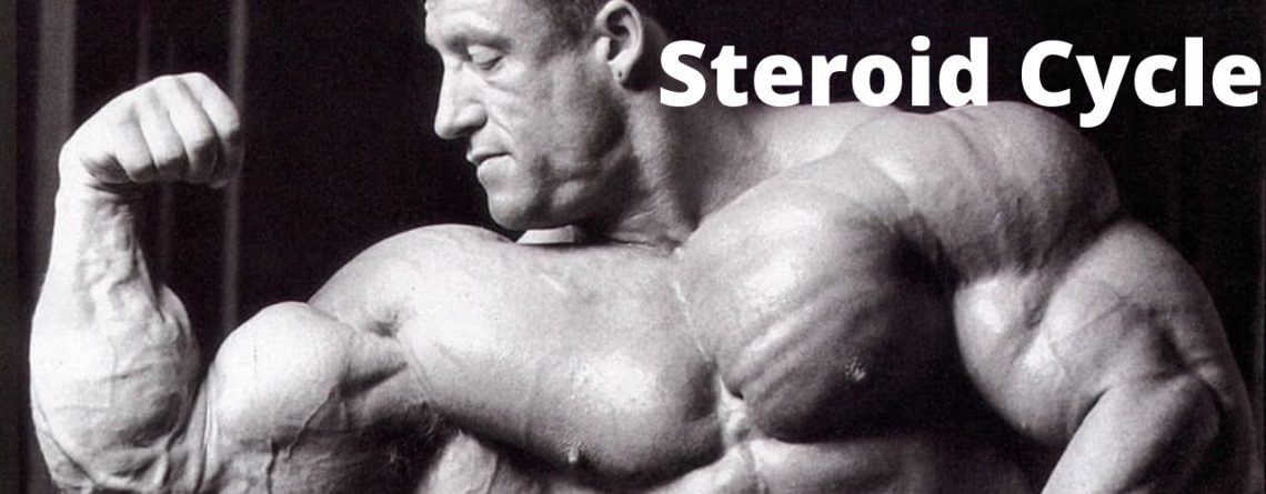 Dorian Yates steroid cycle